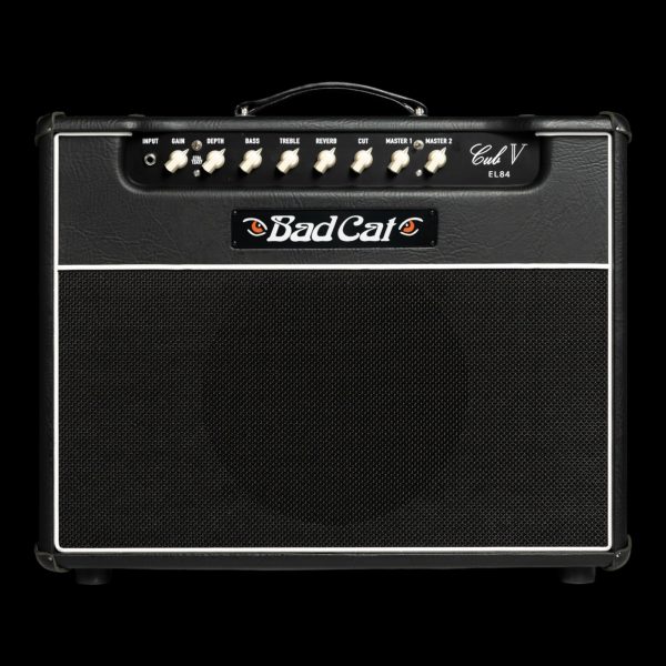 Cub V EL84 15W amp - Combo